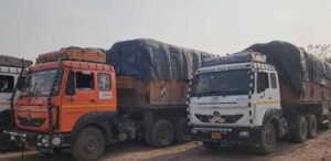 हरियाणा बॉर्डर पर धान से लदे वाहनों की कतार, यूपी-बिहार से हो रही बड़े पैमाने पर एंट्री