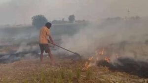 पंजाब में बढ़ी पराली जलाने की घटनाएं, एक ही दिन में रिकॉर्ड तोड़ मामले दर्ज