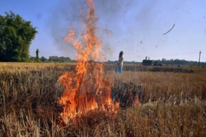 पंजाब में पराली जलने से AQI प्रभावित, किसानों पर 266 FIR और 17 लाख रुपये का जुर्माना