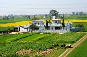 पंजाब की मिट्टी पर संकट: घटती उपजाऊ जमीन ने बढ़ाई चिंता