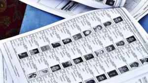 बिहार की वोटर लिस्ट नॉमिनेशन के बाद होगी जारी, चुनाव आयोग ने सुप्रीम कोर्ट को बताया