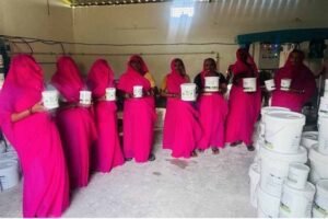 आजीविका मिशन से जुड़ी महिलाओं ने प्राकृतिक पेंट बनाकर की अनूठी पहल : मुख्यमंत्री डॉ. यादव