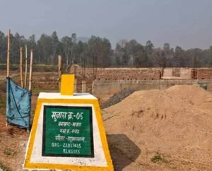 3 एकड़ वन भूमि पर कब्जा, भूमाफिया को रेंजर का संरक्षण