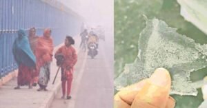 हरियाणा में जीरो डिग्री तक पारा लुढ़कने से जमी बर्फ, 12 जिलों में शीतलहर का अलर्ट