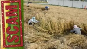 बीमा क्लेम घोटाले पर हरियाणा सरकार की बड़ी कार्रवाई, कृषि विभाग के सयुंक्त निदेशक निलंबित