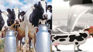 प्रदेश में बनेगी पहली सहकारी क्षेत्र की अत्याधुनिक राज्य स्तरीय डेयरी परीक्षण प्रयोगशाला