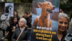 कुत्ते पर पत्थरबाज़ी का मामला सुप्रीम कोर्ट पहुँचा, पीड़िता ने किया डॉग का पक्ष में बचाव