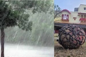 70 KG का दड़ा करेगा झमाझम बारिश की भविष्यवाणी, टोंक में कल होगा फुटबॉल का मैच