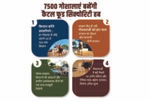 7500 गोशालाएं बनेंगी कैटल फूड सिक्योरिटी हब