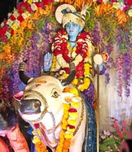 भोपाल में गूंजा ‘हर-हर महादेव’ — 15 फरवरी को धूमधाम से निकली बाबा भोलेनाथ की भव्य बारात