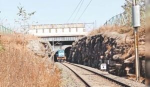 रातापानी में बनेंगे चार एनीमल ओवरपास, 10 साल में मिडघाट में 10 तेंदुए और 9 बाघ हुए मृत