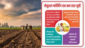 प्रदेश के सभी 75 जिलों में अब तक 94,300 हेक्टेयर तक पहुंची नेचुरल फॉर्मिंग, योगी सरकार 298 करोड़ रुपये से करेगी विस्तार