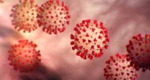 कोरोना जैसे लक्षण, फेफड़ों में एलर्जी और हाई ग्रेड फीवर: मरीजों की संख्या बढ़ी, डॉक्टर्स की चिंता