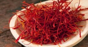 कश्मीर में केसर उत्पादन में गिरावट, किसानों ने सोलर पंप लगाने की उठाई मांग