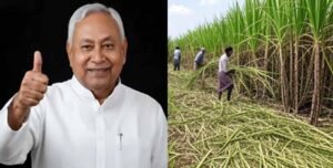बिहार में चीनी उद्योग का होगा विकास, गन्ने का रकबा बढ़ाने का सरकार ने सेट किया टारगेट