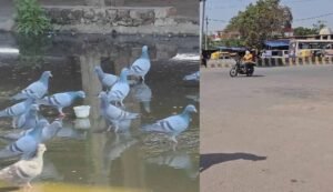 हरियाणा में समय से पहले सर्दी खत्म, मार्च में 35 डिग्री पहुंचेगा पारा