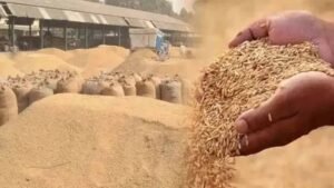 गेहूं भंडारण की बढ़ सकती हैं मुश्किलें, केंद्र से अनाज की आवाजाही तेज करने की मांग