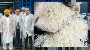 पंजाब में बनेगा बासमती राइस का ‘सेंटर ऑफ एक्सीलेंस’, क्रॉप डायवर्सिटी पर होगा फोकस