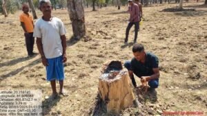 Udanti Sitanadi Tiger Reserve में अतिक्रमण की कोशिश नाकाम, वन विभाग ने 22 लोगों को किया गिरफ्तार