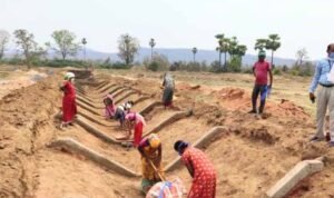 मनरेगा ई-केवाईसी में छत्तीसगढ़ नंबर-1, 97.11% सक्रिय श्रमिकों को मिली सुविधा