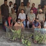 जगदलपुर में वन विभाग टीम पर हमला, तोतों की अवैध बिक्री पर कार्रवाई के दौरान हंगामा