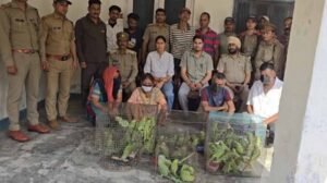 जगदलपुर में वन विभाग टीम पर हमला, तोतों की अवैध बिक्री पर कार्रवाई के दौरान हंगामा