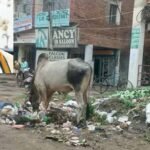 हरियाणा में घर-घर RFID टैग: कचरा उठान पर अब डिजिटल निगरानी