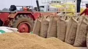 हरियाणा में किसानों के नाम पर फर्जीवाड़ा खत्म: e-खरीद सिस्टम में बढ़ेगी पारदर्शिता