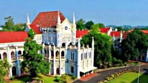 ओला-उबर 2 मिनट में पहुंचती हैं तो एंबुलेंस क्यों नहीं? जनहित याचिका पहुंची हाईकोर्ट