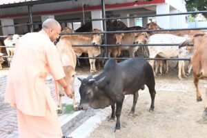 सीएम योगी के निर्देश पर चार बड़ी महत्वाकांक्षी योजनाएं पूरे प्रदेश में लागू, ग्रामीण अर्थव्यवस्था को मिलेगी नई ताकत