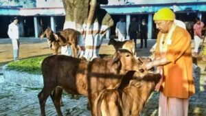 यूपी में गोशालाओं को मिलेगा नया बिजनेस मॉडल, जैविक खेती पर जोर