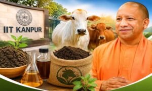 यूपी में गोशालाएं बनेंगी रोजगार का नया केंद्र, IIT कानपुर की तकनीक से तैयार होगा जैविक खाद