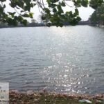 नहरों से सूखते तालाबों में जलभराव:भीषण गर्मी से बड़ी राहत, 4755 तालाब हुए लबालब
