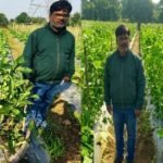 उद्यानिकी की आधुनिक तकनीकों से किसान महेश कश्यप की बदली तकदीर