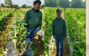 उद्यानिकी की आधुनिक तकनीकों से किसान महेश कश्यप की बदली तकदीर