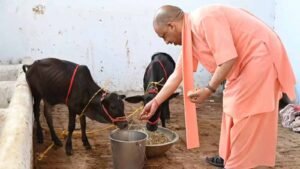योगी सरकार का गो संरक्षण के लिए बड़ा मास्टर प्लान, ग्रामीण अर्थव्यवस्था से जोड़ा जाएगा अभियान