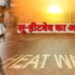 MP में भीषण गर्मी का कहर, जानवरों के लिए लगाए कूलर-ग्रीन नेट; 6 जिलों में हीटवेव अलर्ट