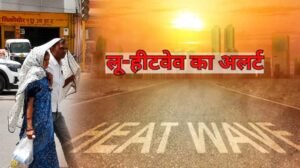 MP में भीषण गर्मी का कहर, जानवरों के लिए लगाए कूलर-ग्रीन नेट; 6 जिलों में हीटवेव अलर्ट