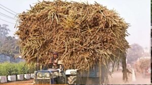 उत्तर प्रदेश ने गन्ना किसानों को किया 3.22 लाख करोड़ रुपये से अधिक का ऐतिहासिक भुगतान