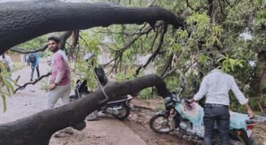 MP Weather Update: ग्वालियर-मुरैना में बारिश, 6 जिलों में लू और आंधी-ओलों का अलर्ट