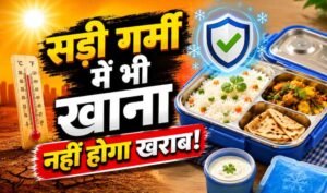 गर्मी में टिफिन पैकिंग गाइड: खाने को जल्दी खराब होने से बचाने के आसान तरीके