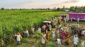 बिहार में डीबीटी योजना का बड़ा असर, 49 हजार करोड़ रुपये सीधे लाभुकों के खातों में पहुंचे