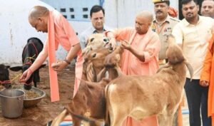 गो सेवा से समृद्धि का मॉडल, यूपी में डेयरी सेक्टर बना ग्रामीण अर्थव्यवस्था का मजबूत आधार