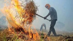 पराली जलाने पर सरकार सख्त, कई राज्यों में हजारों मामले दर्ज