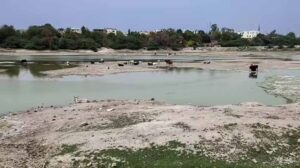 संजय झील में सैकड़ों मछलियों की मौत, पानी की आपूर्ति बाधित होने से बिगड़ा हालात