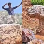 गया में मशरूम के आकार की अनोखी चट्टान बनी पर्यटकों का आकर्षण, गांव को मिली नई पहचान