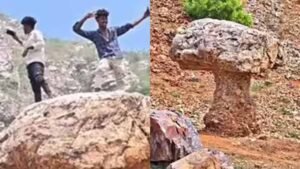 गया में मशरूम के आकार की अनोखी चट्टान बनी पर्यटकों का आकर्षण, गांव को मिली नई पहचान