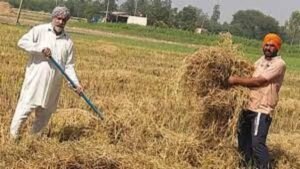 हरियाणा के किसानों ने बदली तस्वीर, पराली जलाने के बजाय अपना रहे वैज्ञानिक तरीके