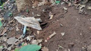 दंतेवाड़ा में बड़ा खतरा टला! प्रेशर कुकर IED बरामद, CRPF की BDS टीम ने किया डिफ्यूज
