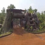 भीषण गर्मी का असर: रायपुर नंदन वन की जंगल सफारी 2 दिन रहेगी बंद